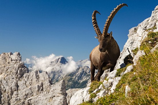 Parc national du Triglav