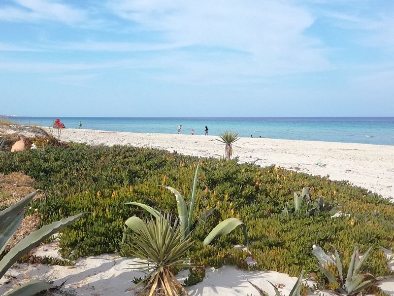 Les plages de la Mahdia