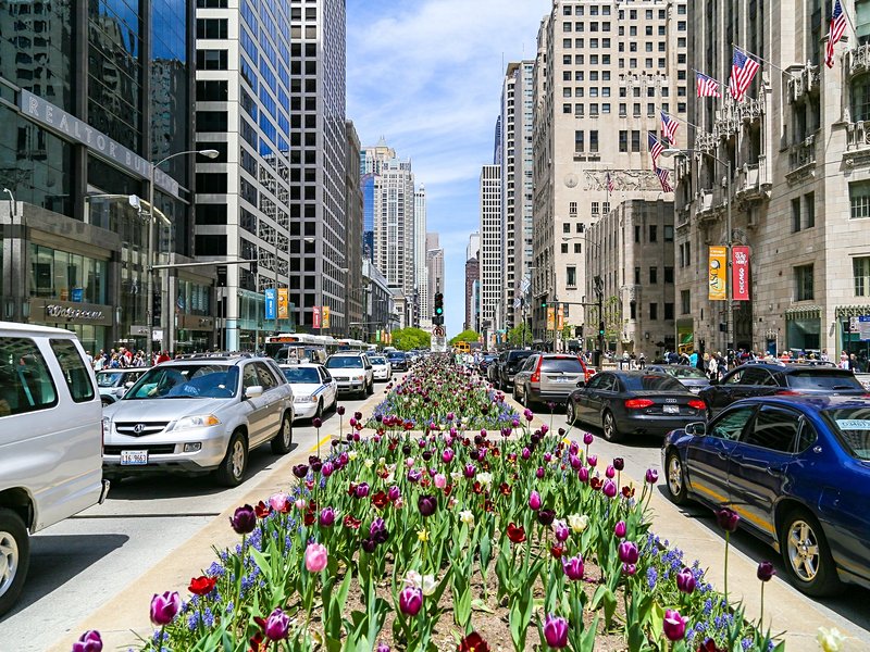 Magnificent Mile