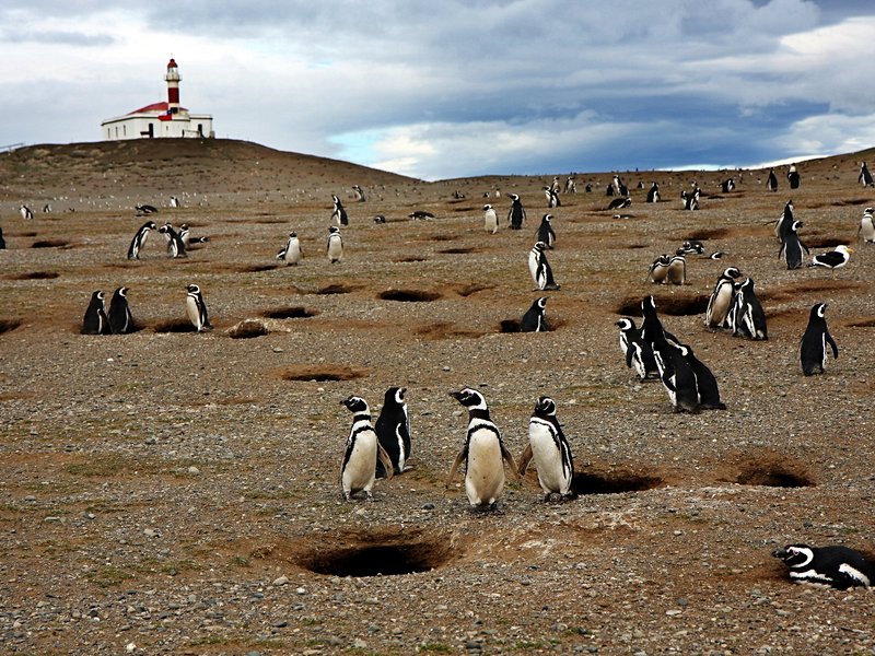 Fjords de Patagonie