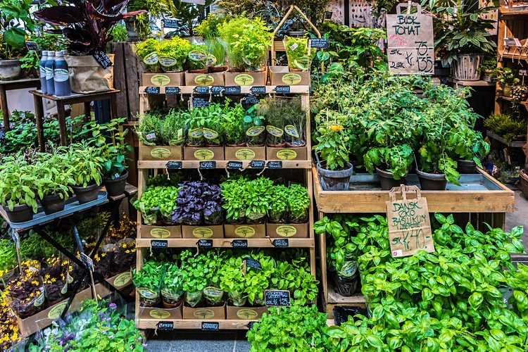 Le marché couvert de Torvehallerne 4