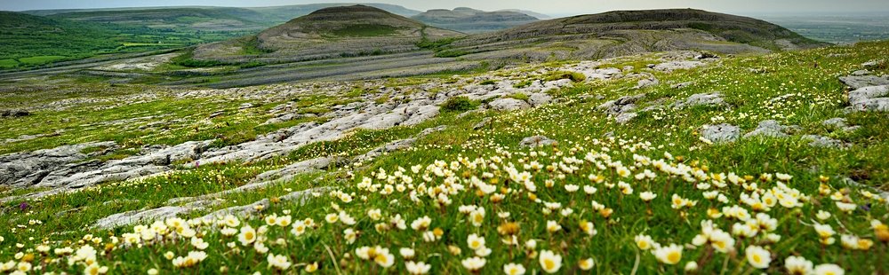 Parc national du Burren