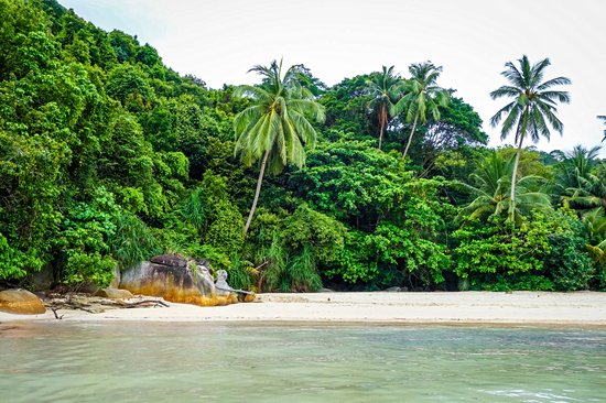 Teluk Pauh – îles Perhentian