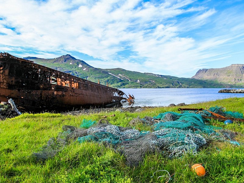 Djupavik