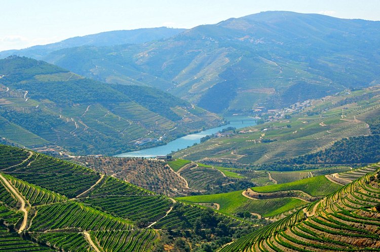 Route des vins du Douro - Portugal 3