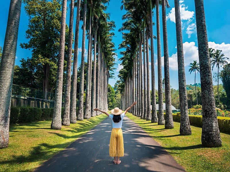 Jardin botanique de Peradeniya