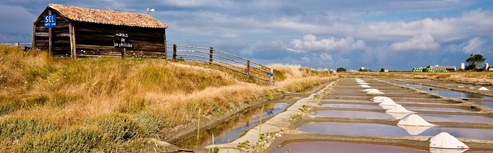 Le marais breton vendéen