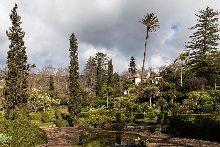 Plus tranquilles, les jardins de Palheiro 3