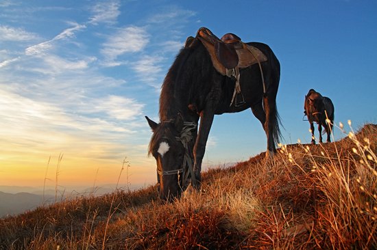 Se balader à dos de cheval