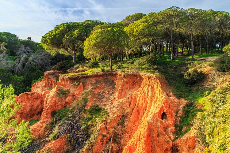 La Ria Formosa