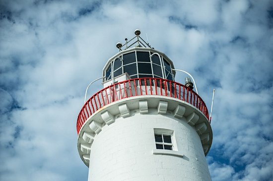 Loop Head