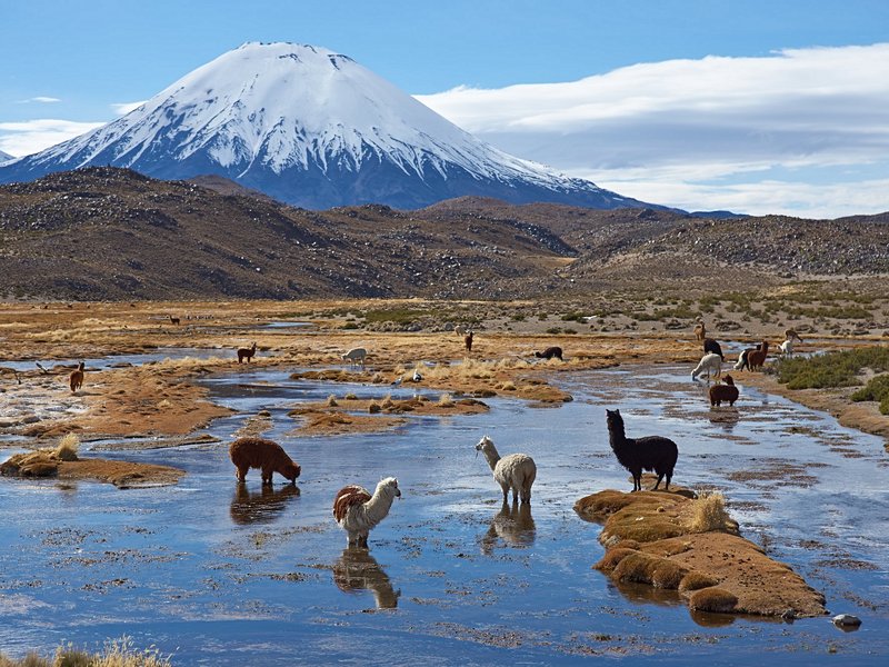 Parc national Lauca