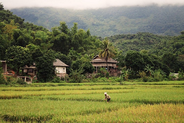 La vallée de Mai Chau 3