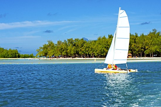 L'île aux cerfs