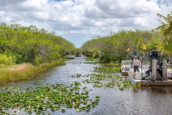 Everglades et Big Cypress