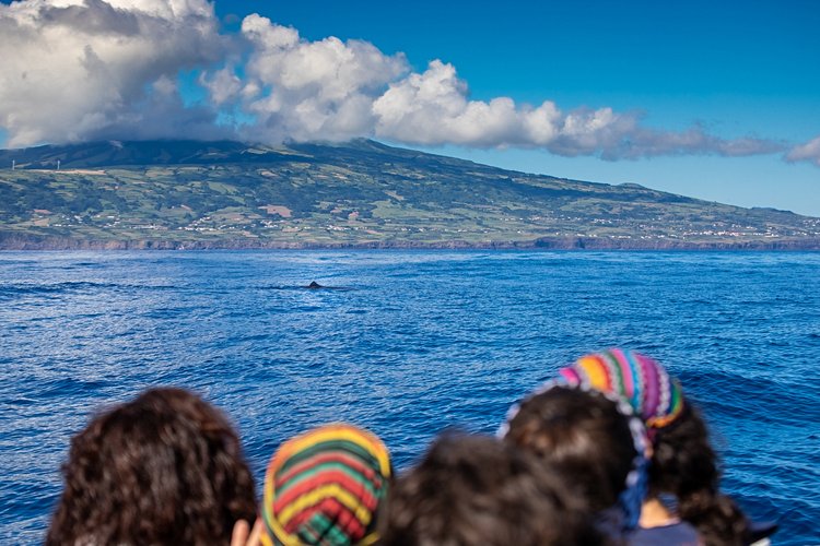 Comment se passe l'excursion ?