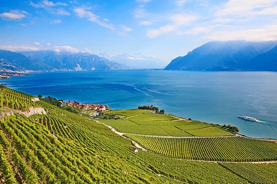 Vignoble de Lavaux