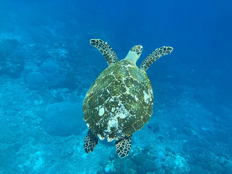 Nusa Penida