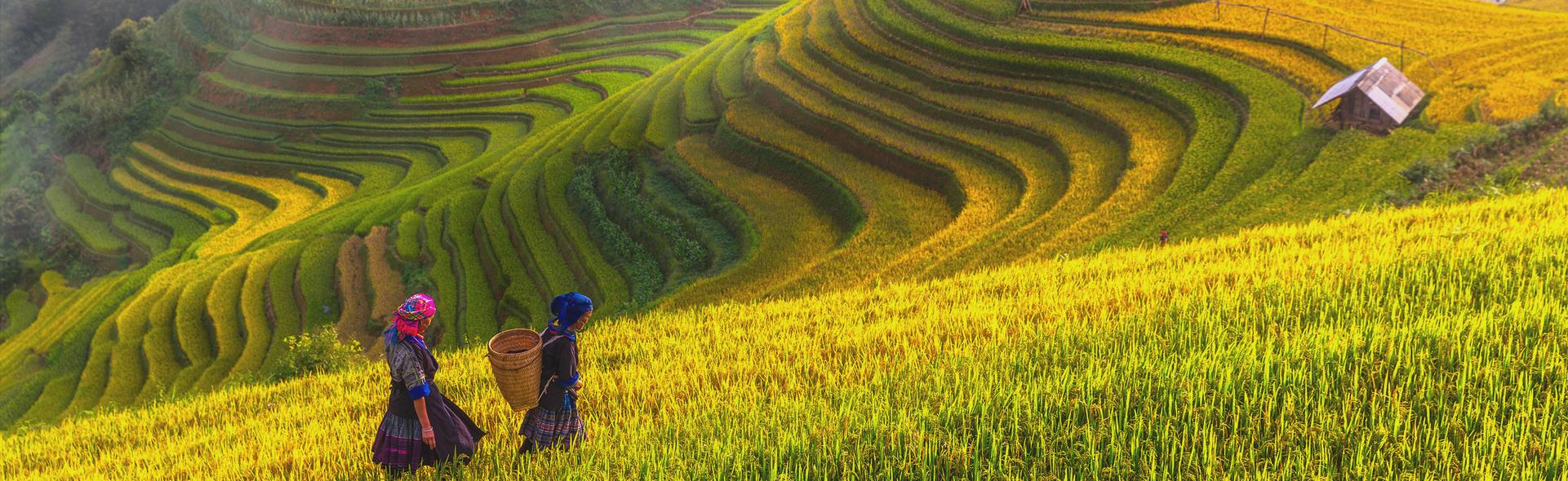 Vietnam