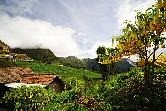 Cemoro Lawang