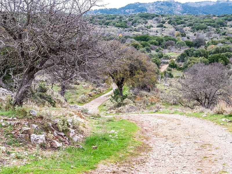 Menalon Trail