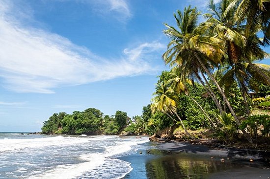 Plage du Roseau, Sainte-Marie