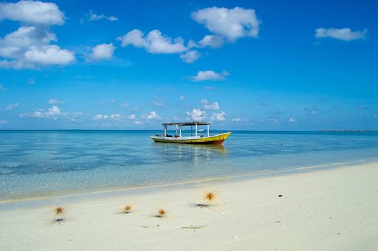 Wakatobi
