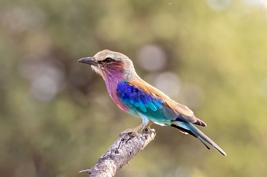 Parc national de Mapungubwe