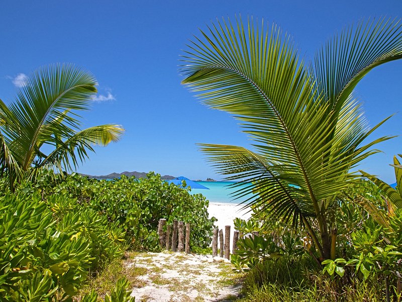 Cote D'Or Beach