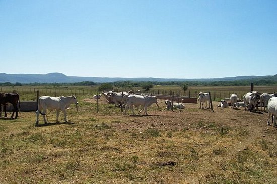 Séjourner dans une estancia