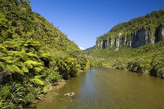 Parc national de Paparoa