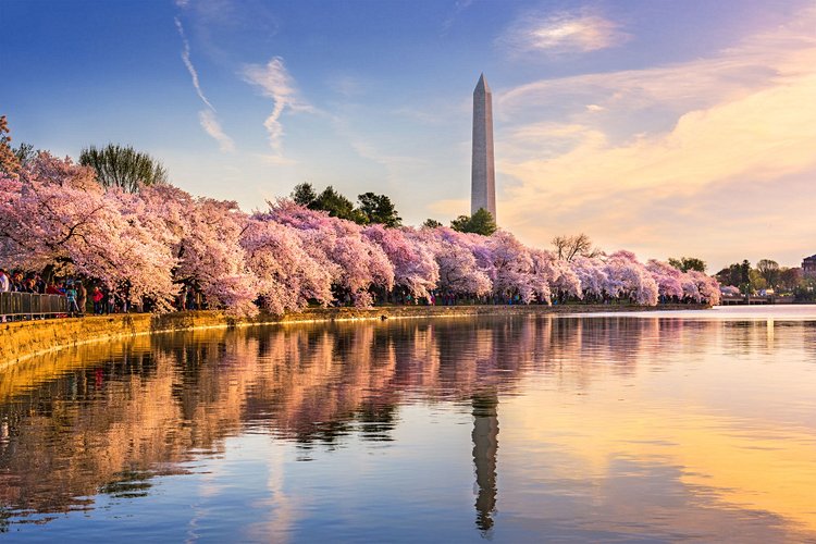 Washington 2