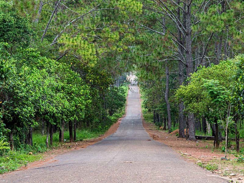 Parc national de Kirirom