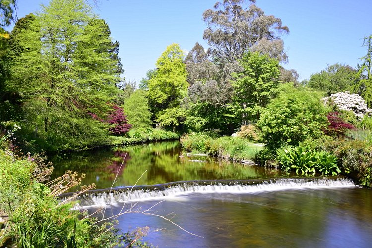 L’explosion exotique de Mount Usher Gardens