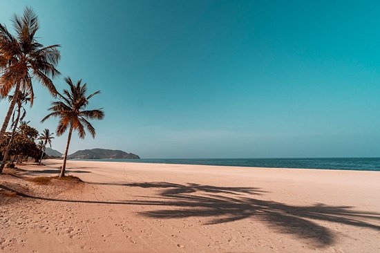 Plage de Fins