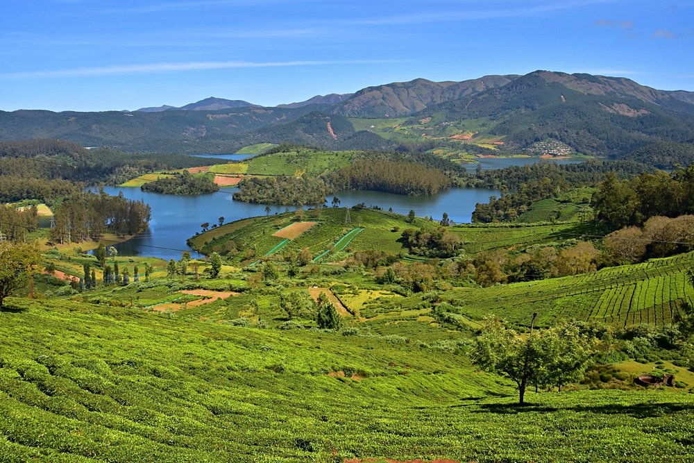 Inde au mois de  mai