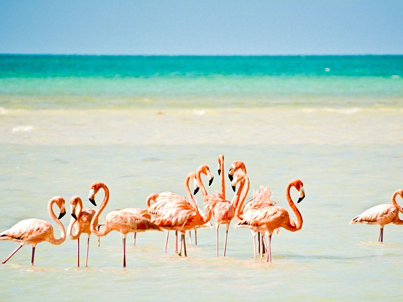 Holbox
