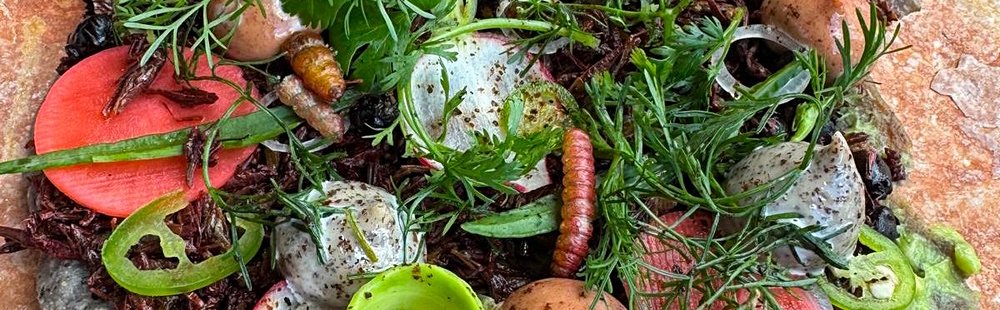 Savourer les mets locaux dans les restaurants d’Oaxaca