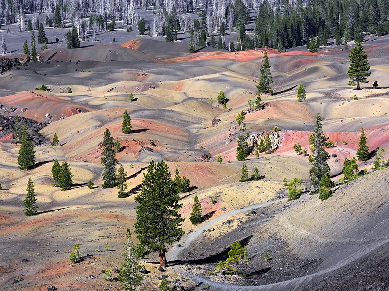Dunes peintes