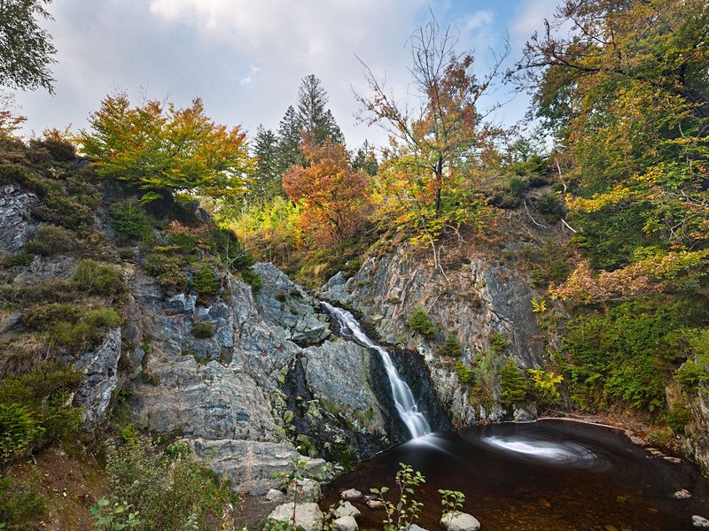 Les Hautes Fagnes