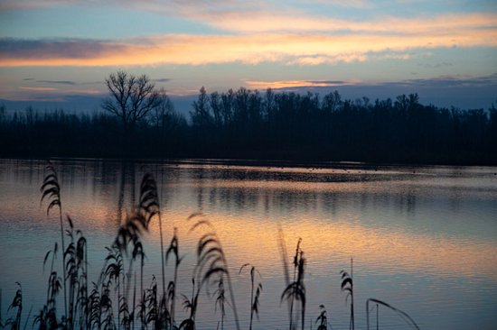 Parc national De Biesbosch