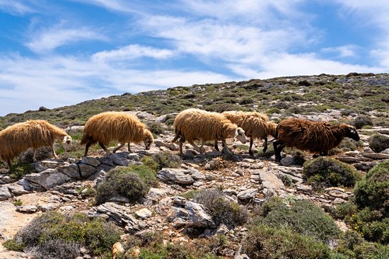 Amorgos