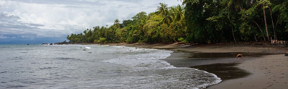 La paradisiaque : Pavones