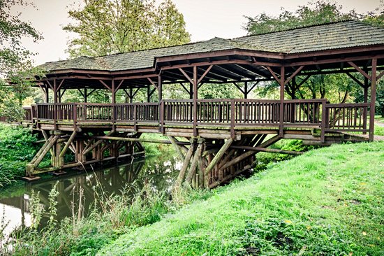 Parc national de Bialowieza