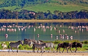 Zone de conservation du Ngorongoro