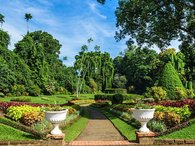 Jardin botanique de Peradeniya