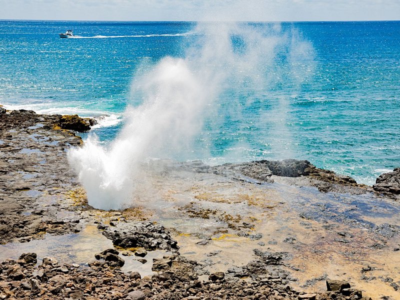 Spouting Horn