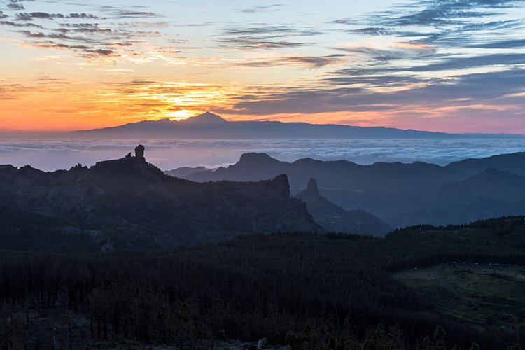 El Pico de las Nieves 3