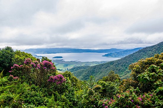 Laguna de la Cocha