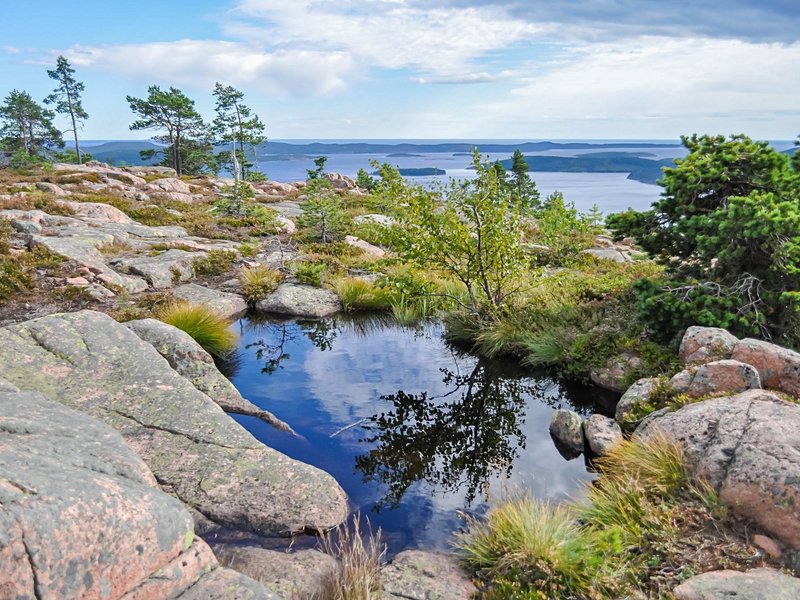 Parc national du Skuleskogen